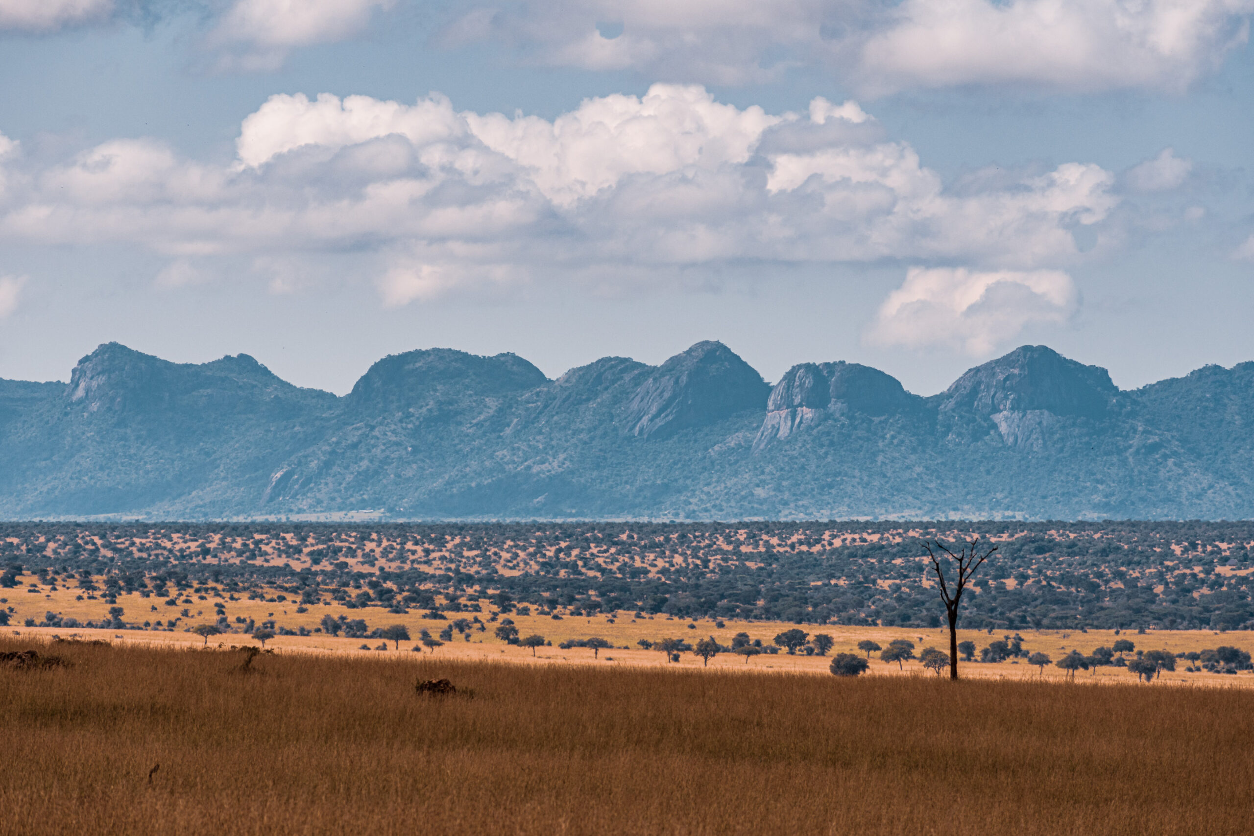 Kidepo Valley