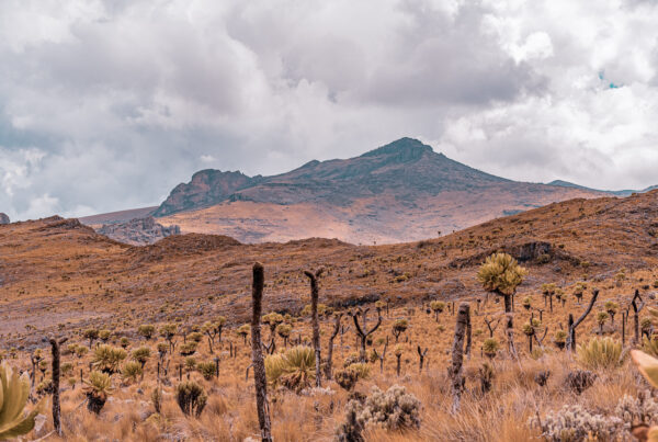 Mount Elgon