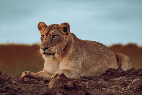 Murchison Falls National Park