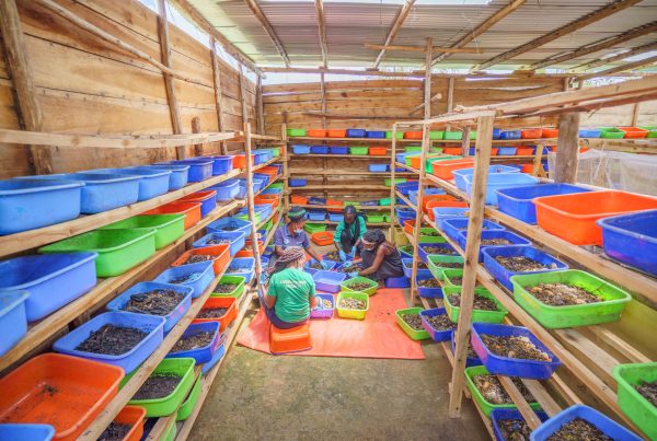 Anzisha Prize: Farmplus Uganda
